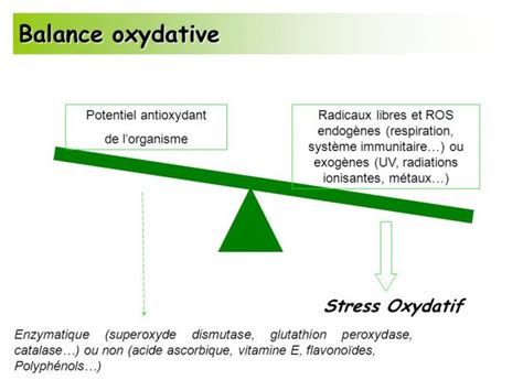 Balance Stress Oxydatif Phytonutriment Canada