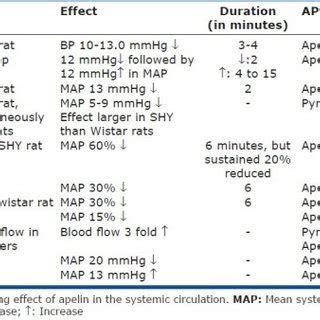 Effects Of Apelin On Blood Pressure In The Systemic Circulation