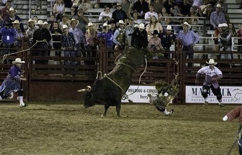 2024 GLADEWATER ROUND UP RODEO