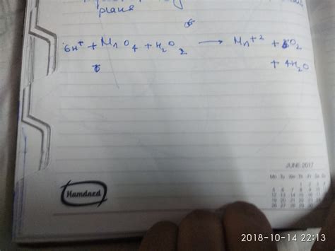 Select The Correct Statement Describing The Osmolarity Of Mammalian Urine 3