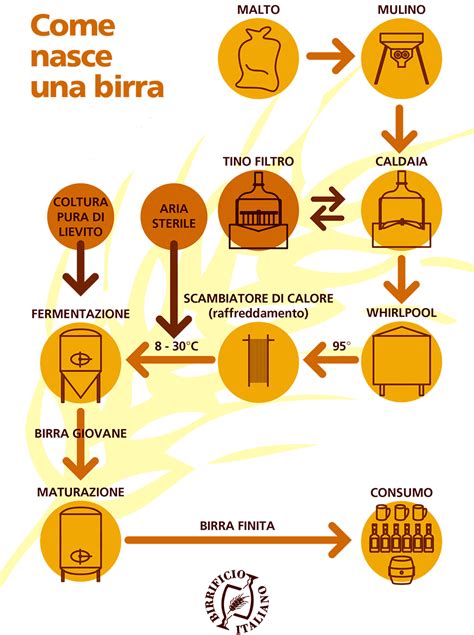 Processo Produttivo Della Birra CULTURA BIRRARIA