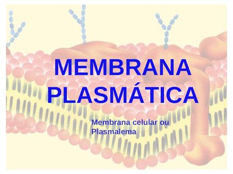 Pptx Membrana Celular Ou Plasmalema Envolt Rio Celular Membrana