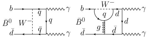 Examples of lowest order SM Feynman diagrams for B 0 γγ The symbol q