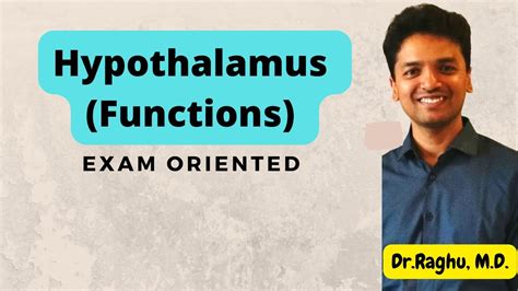 Functions Of Hypothalamus Cns Physiology Mbbsexams Physiology