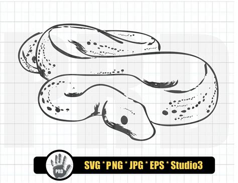 Ball Python Svg Design Bundle Ball Python Ball Pythons Svg Etsy