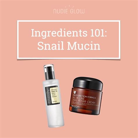 Ingredients 101: Snail Mucin - Why You Should Slather Snail Mucin on Your Skin | Skincare store ...