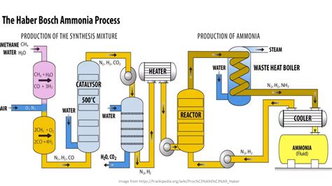 Haber Bosch Process Ppt