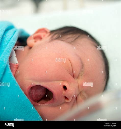 Newborn Baby Asian Hospital Hi Res Stock Photography And Images Alamy