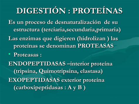 Proteinas Digestión absorción y metabolismo PPT