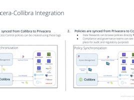 Privacera Data & AI Security Governance - Collibra Marketplace