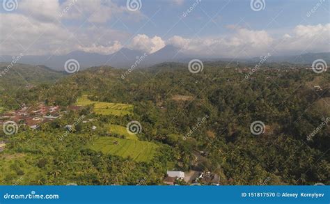 Paisaje Tropical Con La Regi N Agr Cola En Indonesia Foto De Archivo