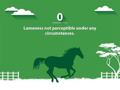 Equine Lameness Exam | Vet Set Go