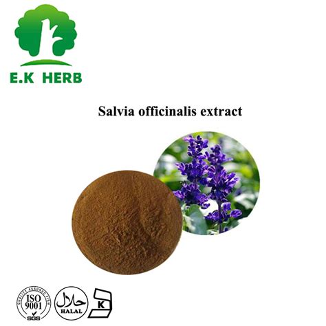 E K Herb Nutrition Supplement Herbal Extract 1 15 Rosmarinic Acid