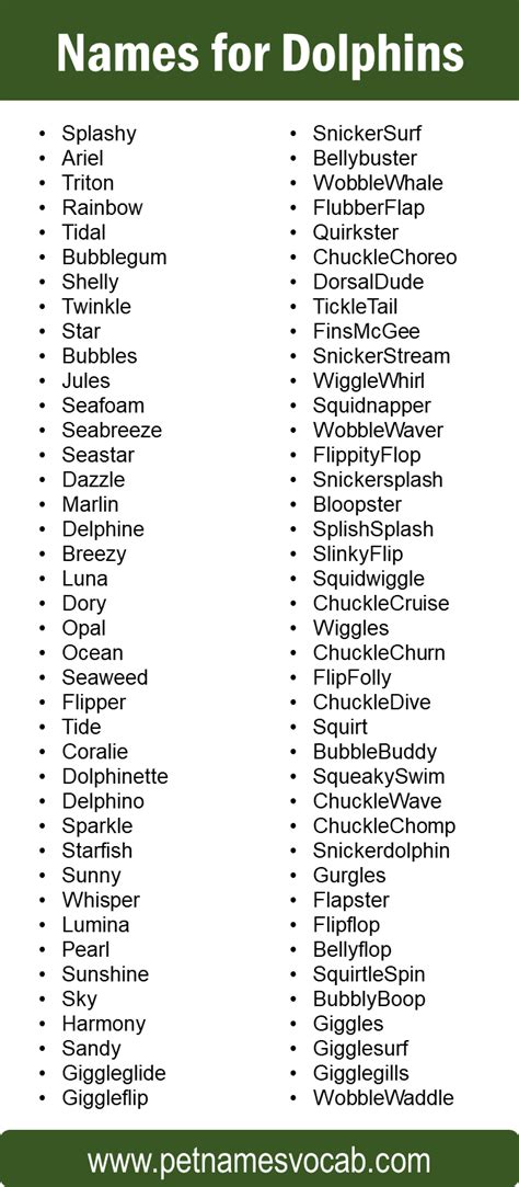 Names for Dolphin: Naming Ideas for Your Adorable Pet - Pet Names Vocab