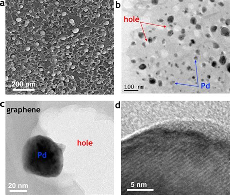 Reply To Comment On Nanohole Structured And Palladium Embedded D