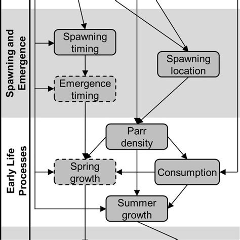 Conceptual Diagram Of The Biophysical Factors Shaping Chinook Salmon