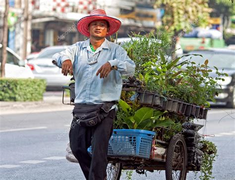 Vendor Seedlings In Bangkok Thailand Stock Editorial Photo Mmedp