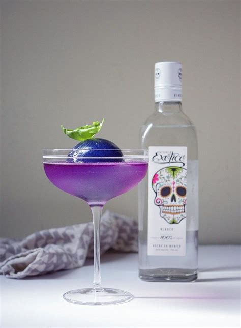 The Purple Halo Tequila Lime Agave Basil Sparkling Blackberry