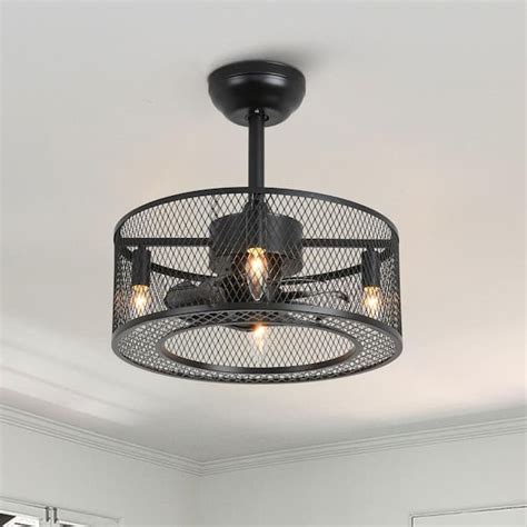 FANNEHONNE 18 In Indoor Black Modern Ceiling Fan With Light Drum Cage