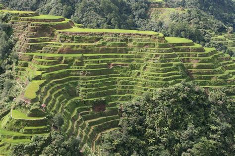 The Banaue Rice Terraces Of Philippines