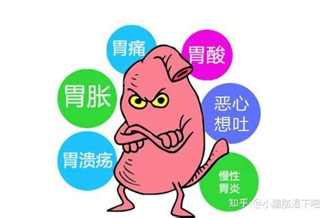 不吃早餐有什么危害，你知道吗？ 知乎