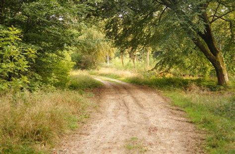 Track In Blackwood Forest © Logomachy Cc By Sa20 Geograph Britain