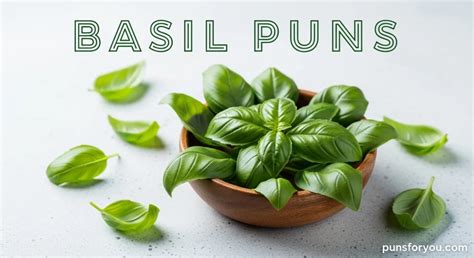 basil puns  puns foryou