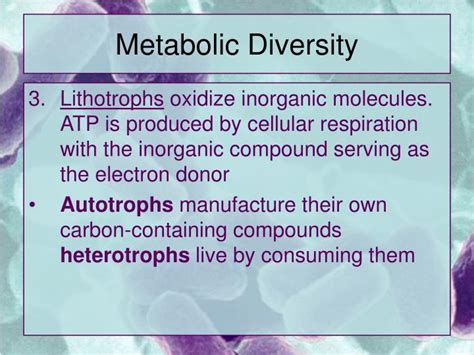 PPT Bacteria And Archaea PowerPoint Presentation ID 202449