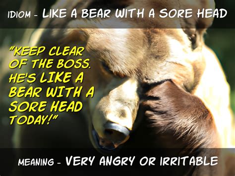 Idiom Like A Bear With A Sore Head Funky English