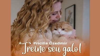 Como Treinar seu Gato Método Pricilla Özdemir HotCursos