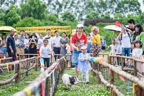 三圣乡藏着一个“动物园”，梅花鹿、小绵羊、孔雀，快带娃去！手机网易网 初夏时节，最适合带娃近郊游了，去亲近大自然，认识小动物，收获欢乐