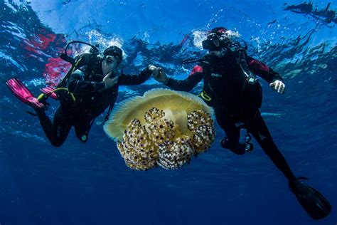 Bosa Diving Immersioni Snorkeling E Tanto Altro