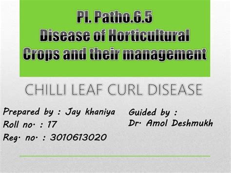 Chilli leaf curl virus | PPT