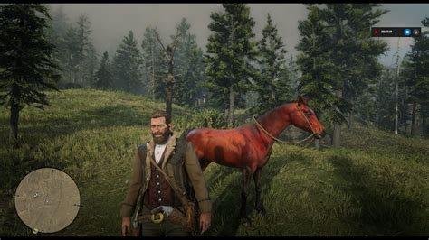 RDR2 Red Dead Redemption 2 Domador de cavalos Localização Puro