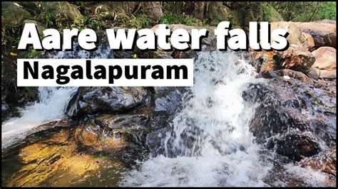 Aare Falls Nagalapuram Tamil Complete Guide Forest Trekking With