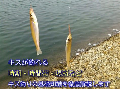 福袋 キス釣り