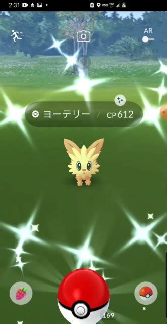 【ポケモンgo】ポカブ大量発生中に想定外の超レア色違いに遭遇！？ 星の砂3倍も激アツ【コミュニティデイ】 ラプラス大好きトレーナーの