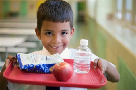 5 Easy And Healthy School Lunches