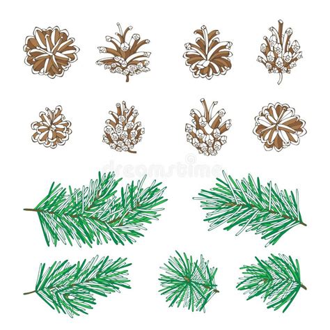 Sistema Del Vector De Ramas De Conos Y De Agujas Del Pino Ilustración