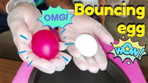 How To Make An Egg Bounce Bouncing Egg Experiment At Home Youtube