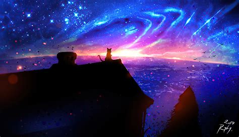 Cat On Magic Roof 4k Wallpaper,HD Artist Wallpapers,4k Wallpapers