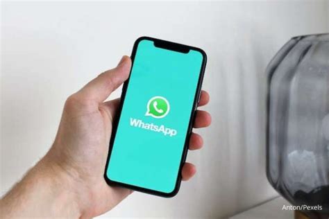 Cara Mengatasi Whatsapp Tidak Bisa Kirim Foto Dan Video Untuk Pemula