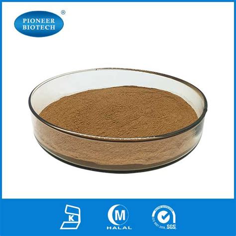 Cocoa Extract Powder 84649-99-0 Manufacturers, Suppliers, Factory ...