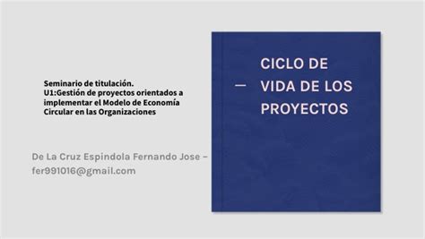 Ciclo De Vida De Un Proyecto