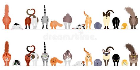 Cute Cats Border Set Stock Illustrations 386 Cute Cats Border Set