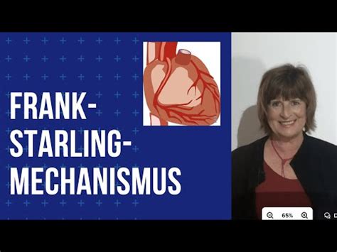 Frank Starling Mechanismus Youtube