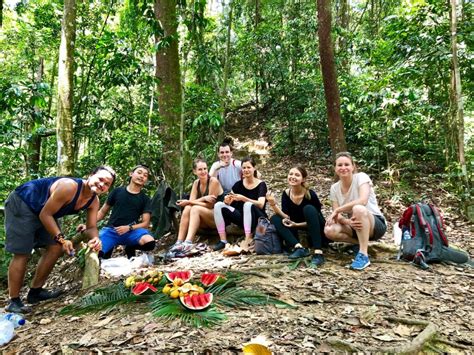 Jungle Trekking In Bukit Lawang Everything You Need To Know