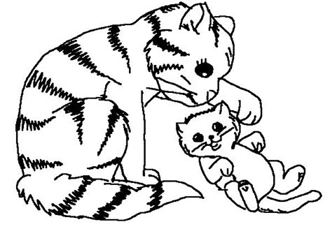 Coloriage Chat Animaux Dessin Colorier Coloriages