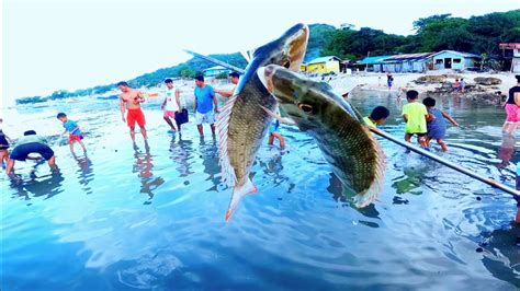 Nagkagulo Ang Mga Tao Sapag Dampot Nang Mga Isda Sa Nahihibasan Na