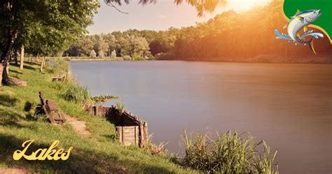 The 8 Best Fishing Lakes In Iowa Captain Dixon